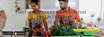 Fun Facts About Flowers You Can Find in Dubai