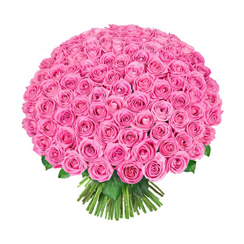 1000-Pink-Roses-Bouquet