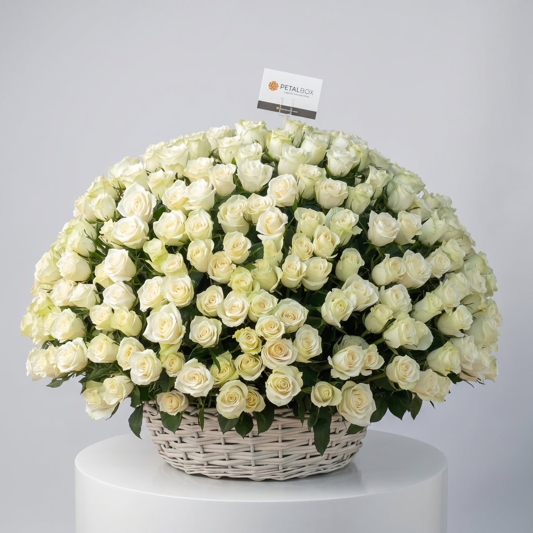 300 White Roses Basket