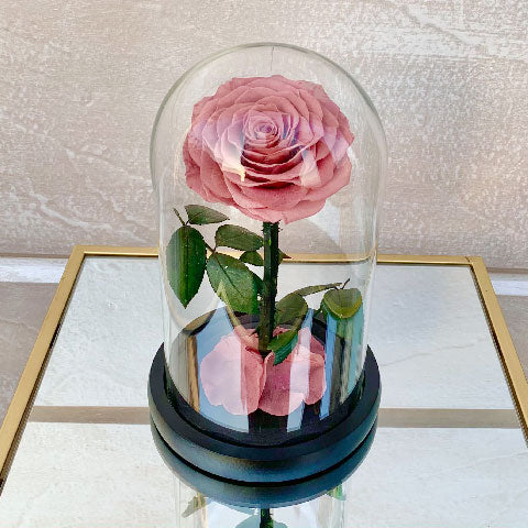Beautiful-Lady-Forever-Rose
