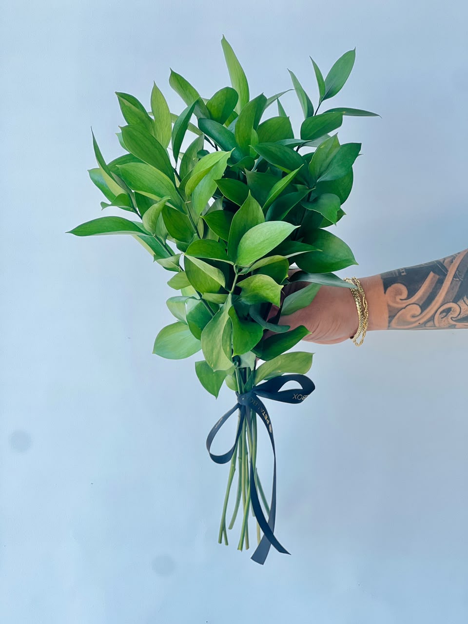 fresh ruscus bunch with 10 fresh stems by Petal Box
