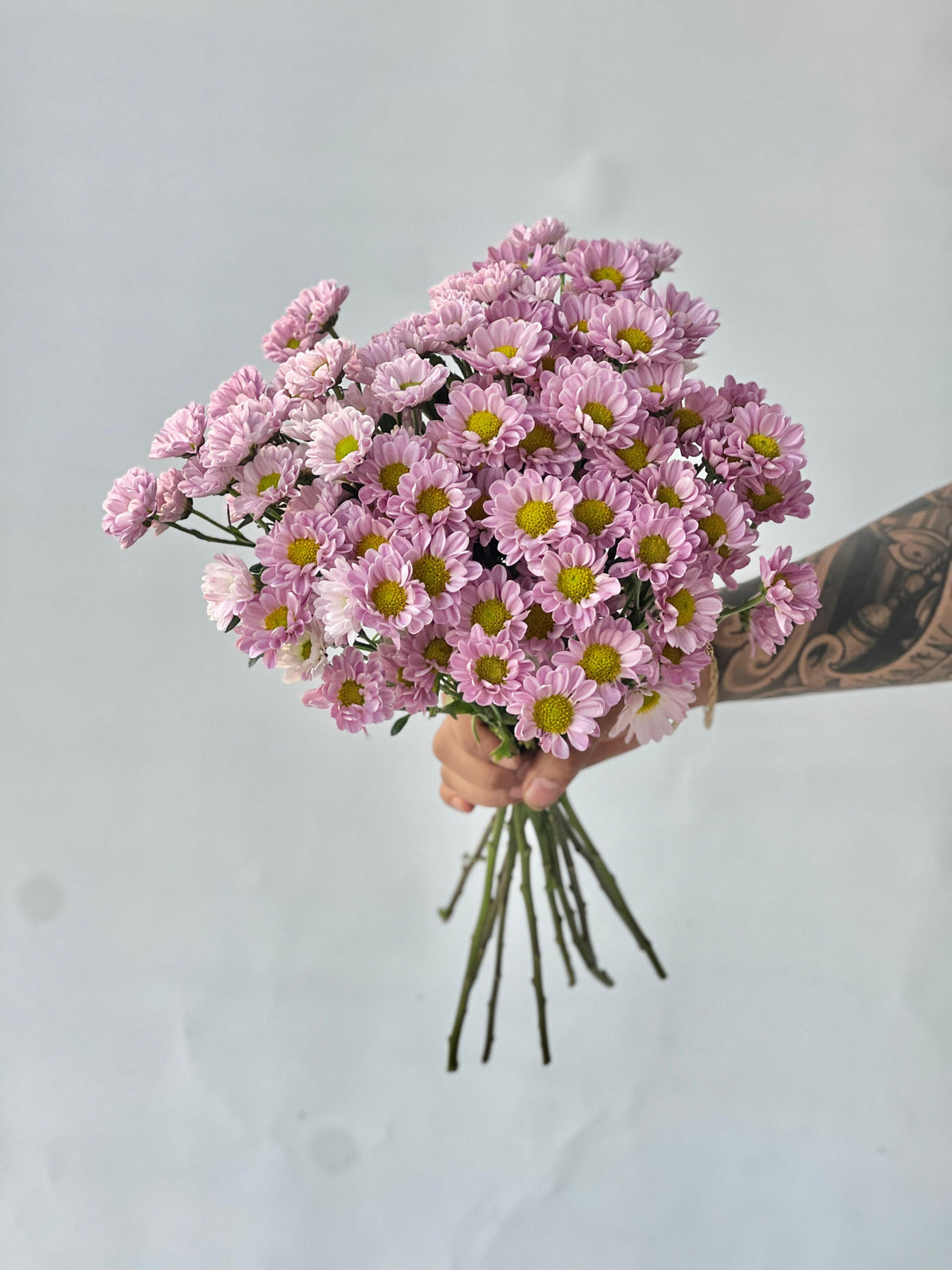 pink santini chrysanthemum bunch with 10 fresh stems by Petal Box