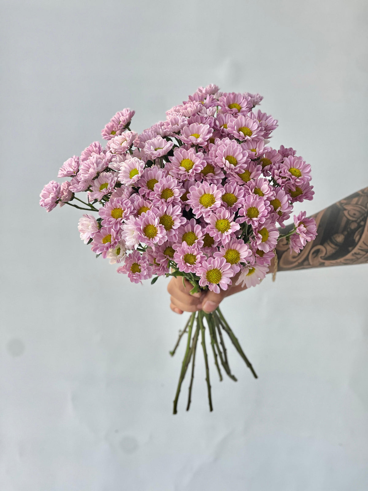 pink santini chrysanthemum bunch with 10 fresh stems by Petal Box