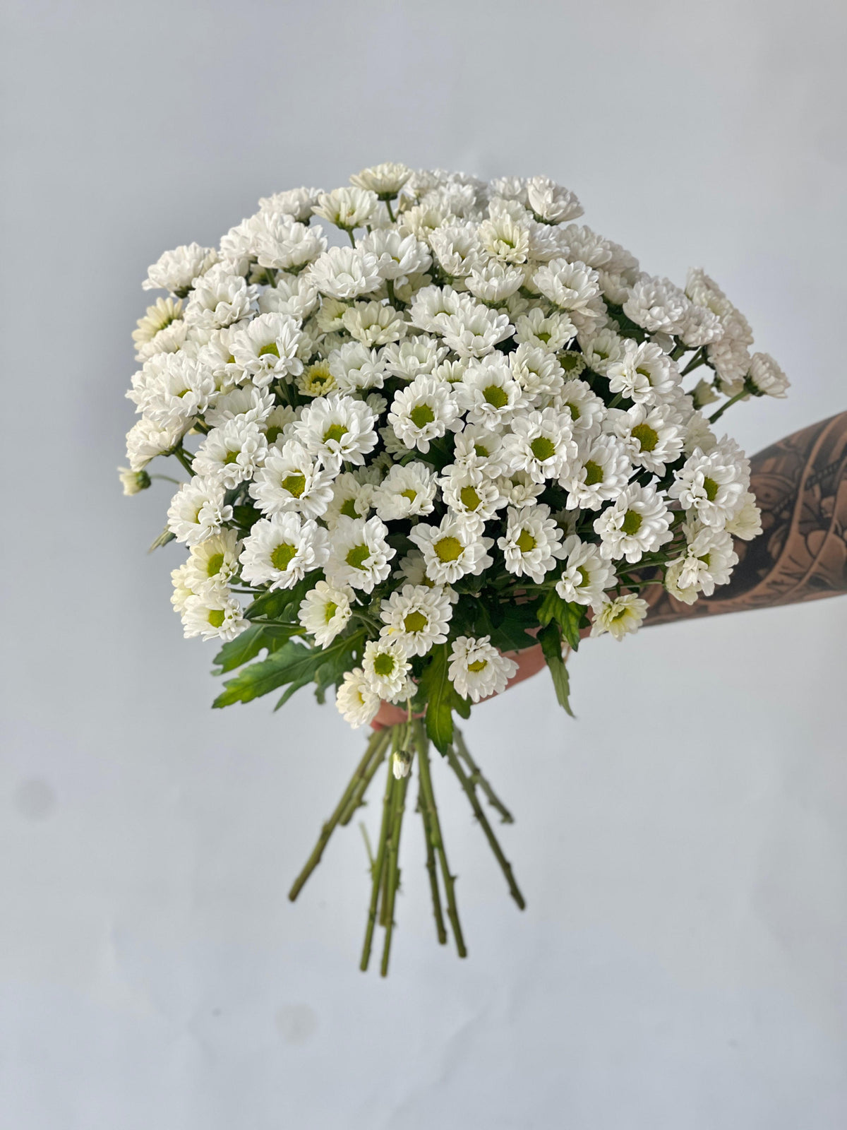 white santini chrysanthemum bunch with 10 fresh stems by Petal Box