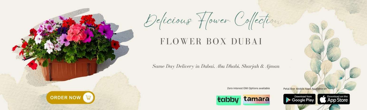 Flower Boxes Dubaislider_item_7mQYxU