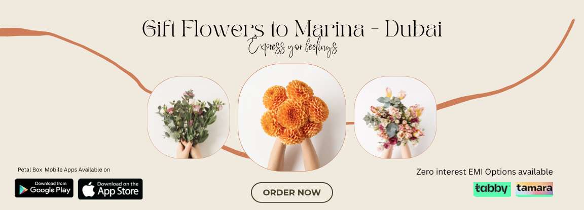 Flower Delivery Marina Dubaislider_item_7mQYxU