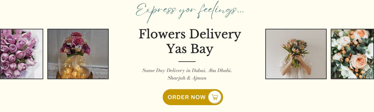 Flowers Delivery Yas Bayslider_item_7mQYxU