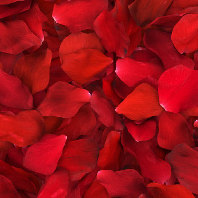 Red-Roses-Petals