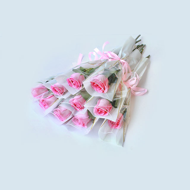 Single-Pink-Roses