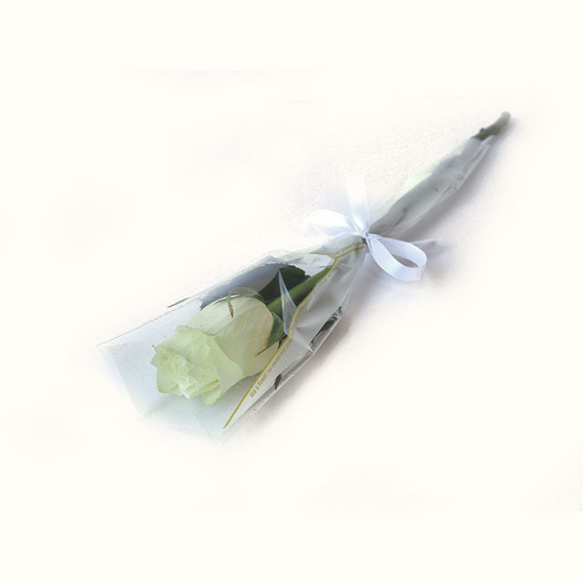 Single-White-Roses