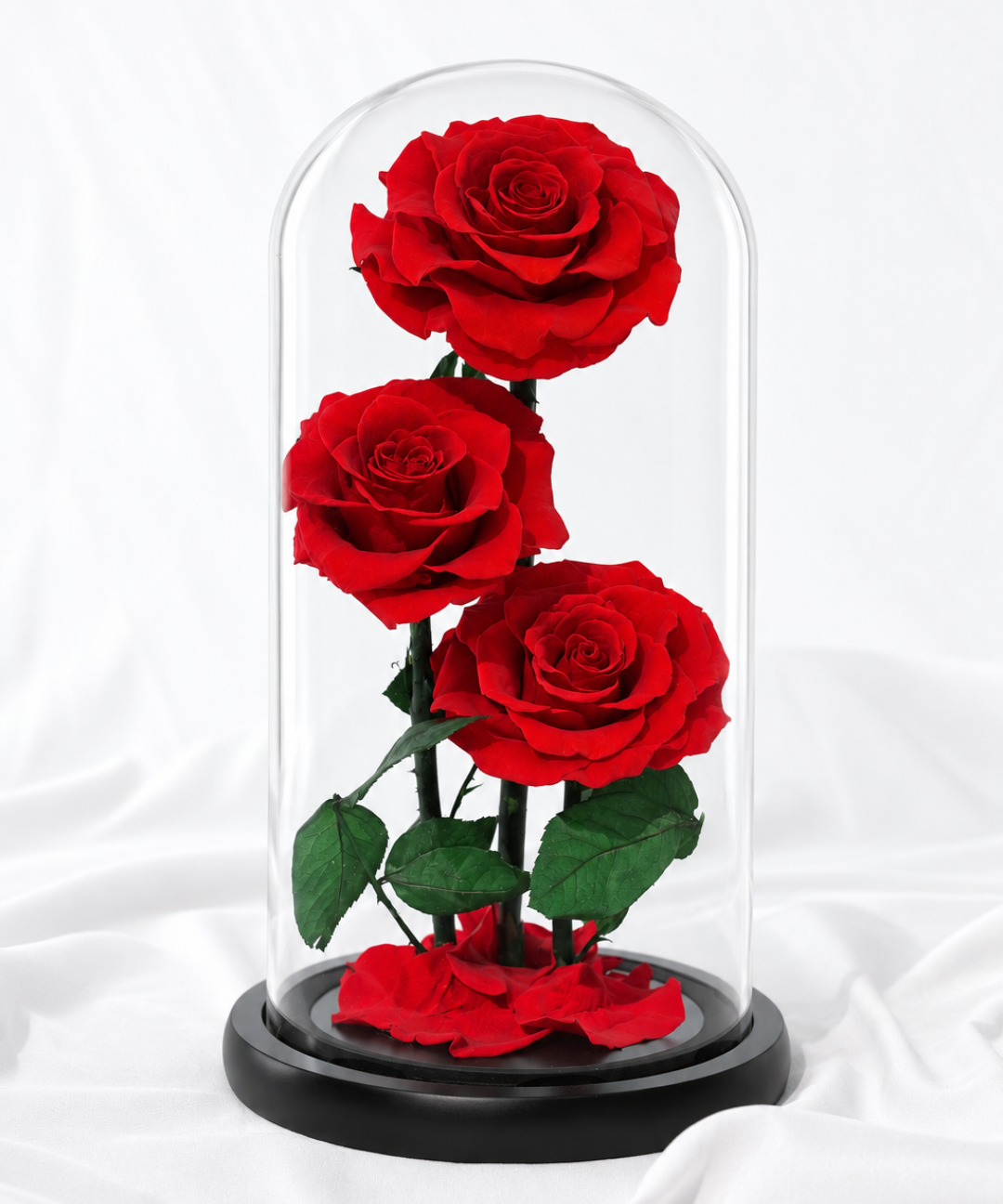 Luxury triplet red forever roses preserved under a glass dome, an everlasting rose gift for anniversaries, romantic occasions and Valentine's Day, available with flower gifting delivery in Abu Dhabi and Dubai, UAE.