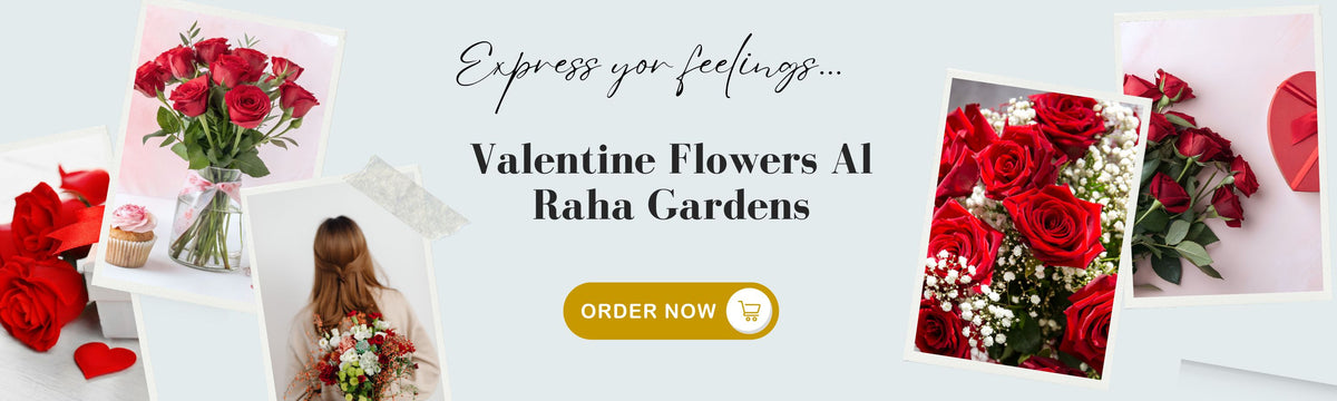 Valentine Flowers Al Raha Gardens