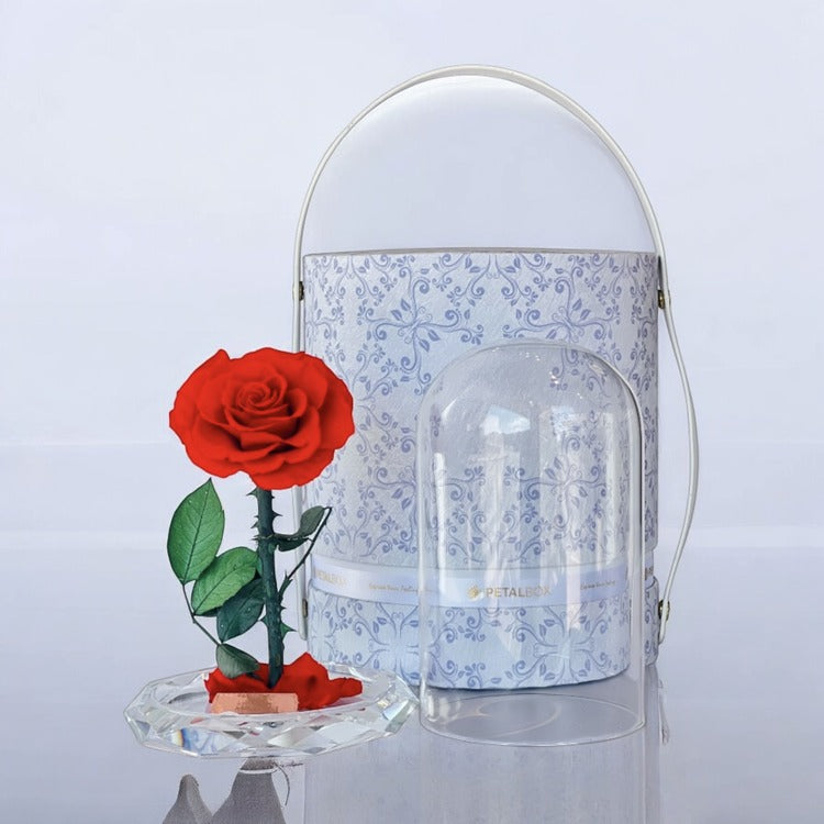 Flower Delivery to dubai and abu dhabi