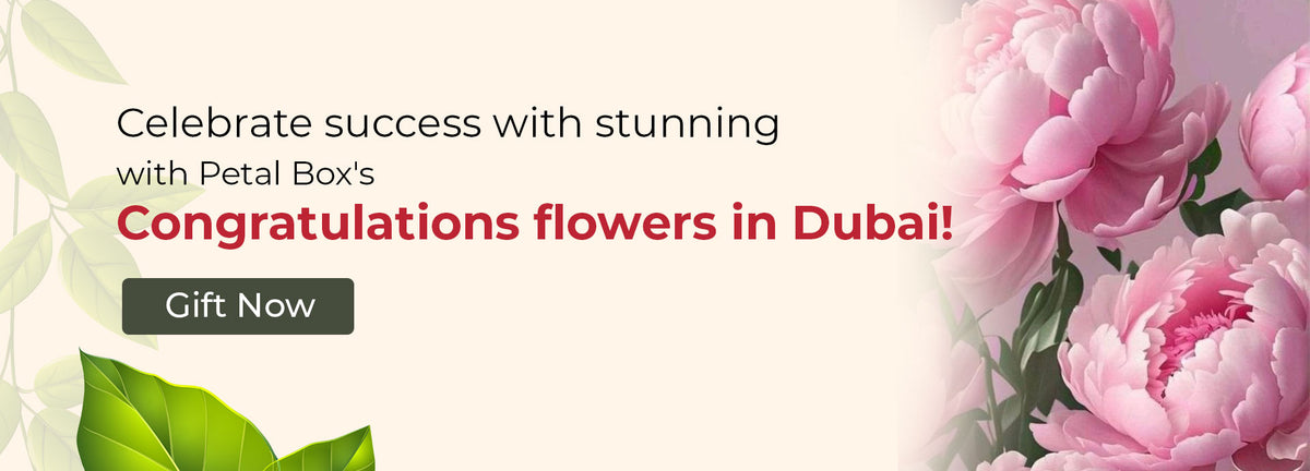 Congratulations Flowers Dubaislider_item_7mQYxU