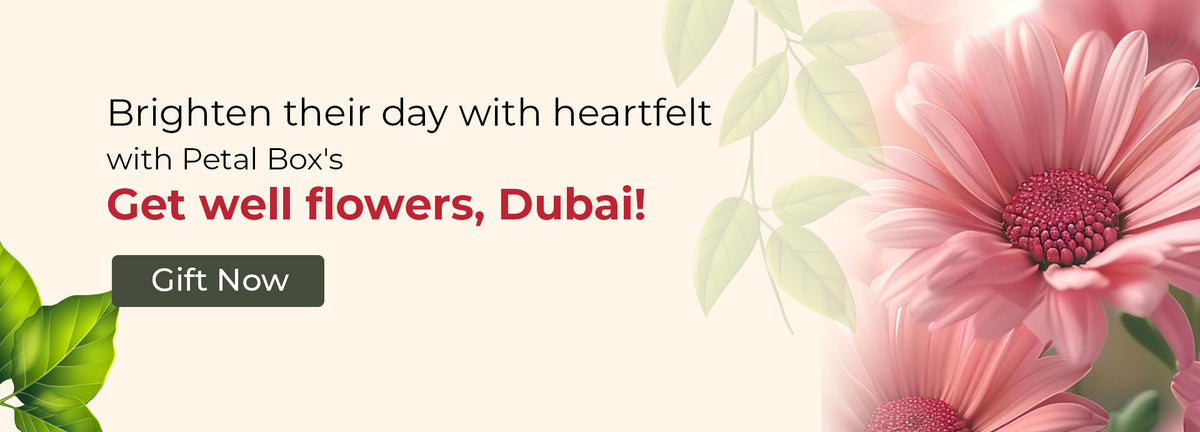 Get well soon flowers Dubaislider_item_7mQYxU