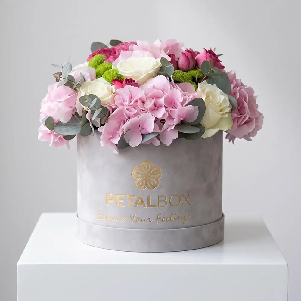 Luxury pink hydrangea and white rose flower box arrangement with green button chrysanthemums and eucalyptus in a premium velvet Petal Box for elegant gifting and special occasions.