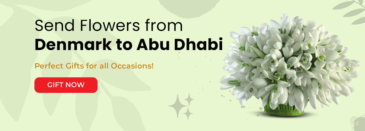 Sending Flowers from Denmark to Abu Dhabislider_item_7mQYxU