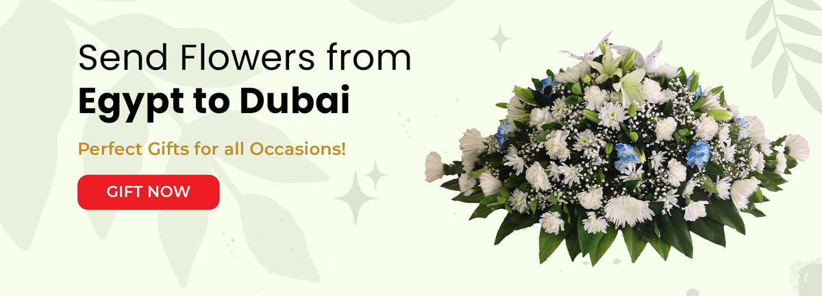 Send flowers from Egypt to Dubaislider_item_7mQYxU
