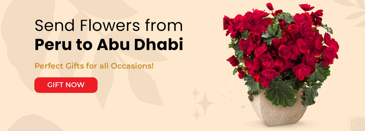 Send Flowers from Peru to Abu Dhabislider_item_7mQYxU