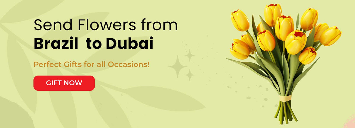 Send flowers from Brazil to Dubaislider_item_7mQYxU
