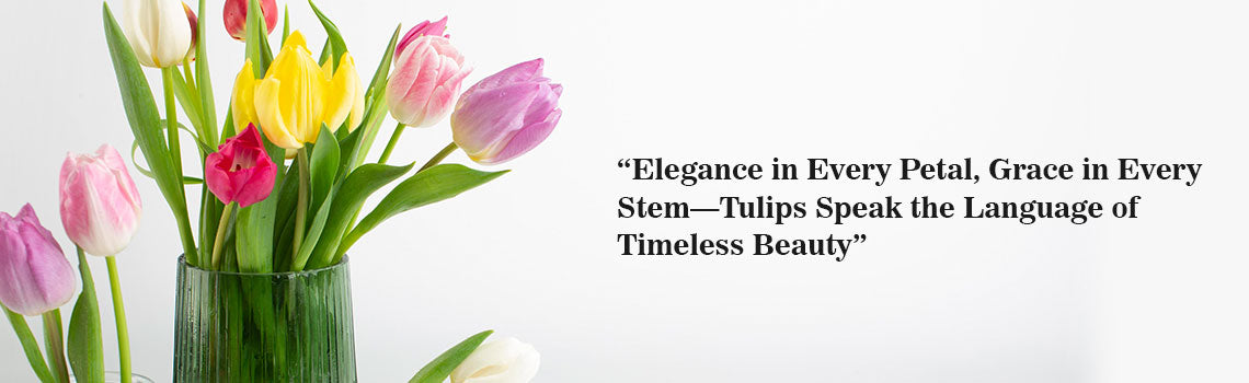 Tulips Delivery Dubaislider_item_7mQYxU