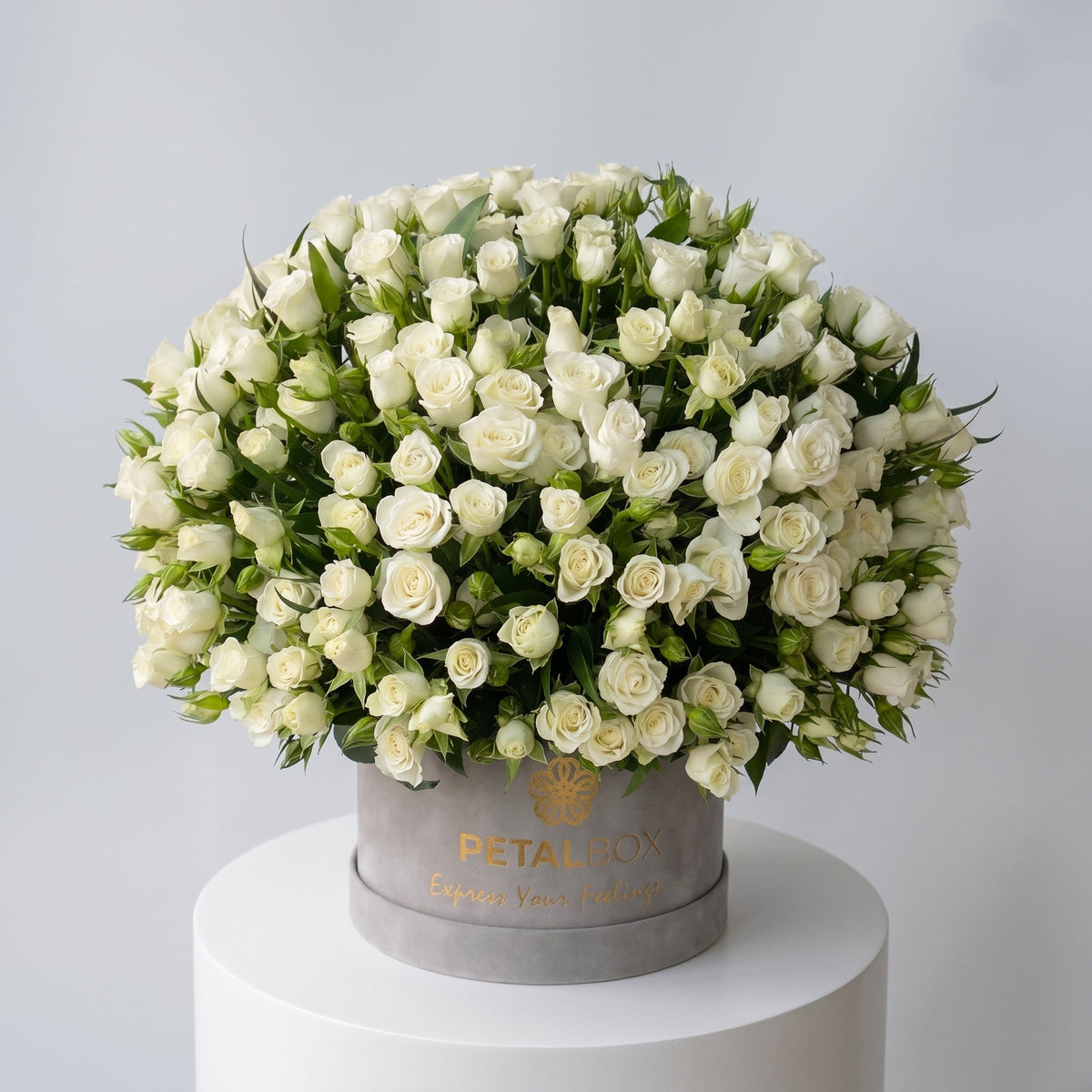 White Baby Roses Box