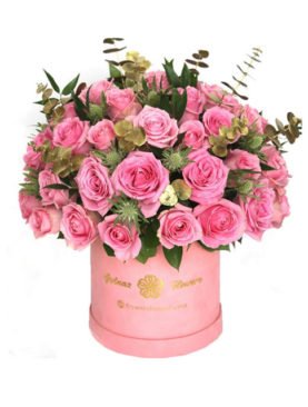 Absolute Pink Roses Box
