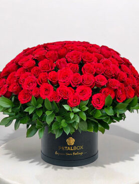 Red Roses Box Arrangement