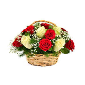 Red-and-White-Roses