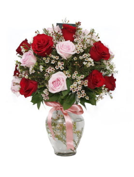 24 Red and Pink Roses