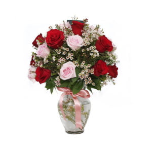 Red and Pink Roses Vase
