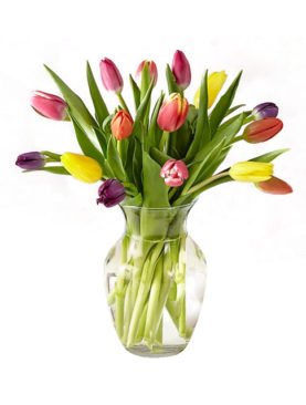 Colorful Tulips with Vase