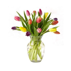 Colorful Tulips with Vase