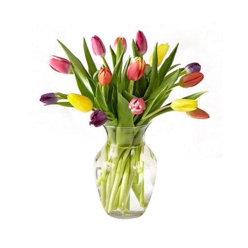 Colorful Tulips with Vase