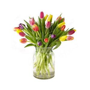 Multi-Color-Tulips-Vase-25-stems