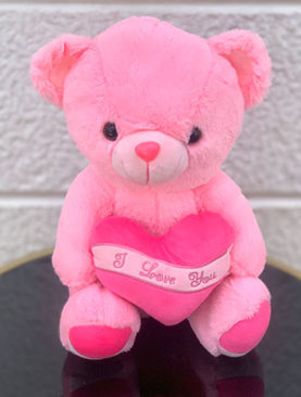 Pink Teddy Bear Love