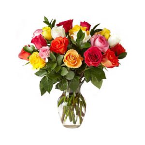 24 stems colorful Roses