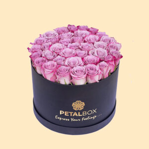 40-Purple-Roses-Box