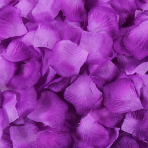 Purple-Roses-Petals