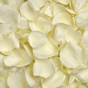 White-Roses-Petals