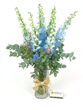 Delphiniums Flower Vase