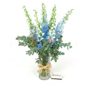 Delphiniums-Flower-Vase