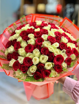 100 Red and White Roses