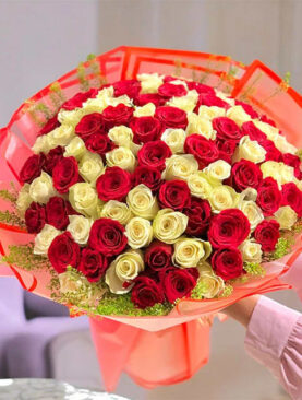 100 Red and White Roses