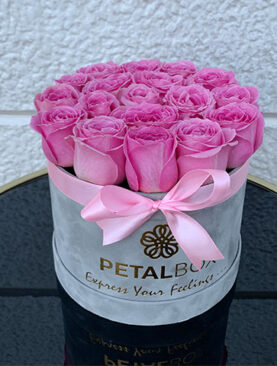 Pink Roses Blooming Box