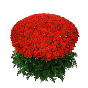 1000-Red-Roses-Bouquet