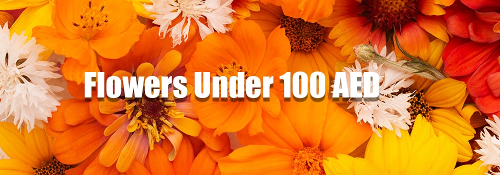 Flowers-Under-100-AED