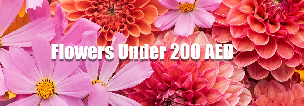 Flowers-Under-200-AED