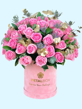 Absolute Pink Roses Box