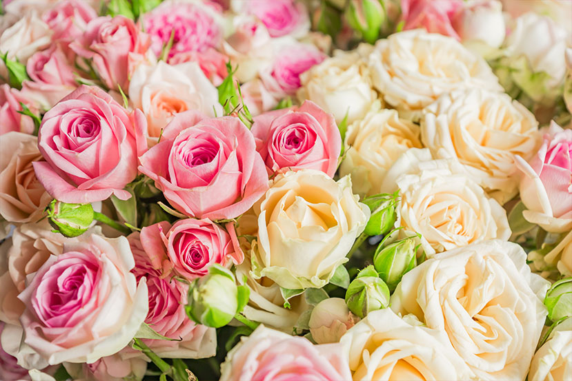 The Best Occasions to Gift Flowers to Your Loved Ones